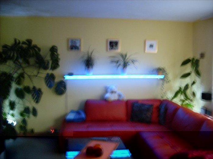 DSCI0019 regal.JPG (48.53 KiB) 12320 mal betrachtet DSCI0019 regal.JPG