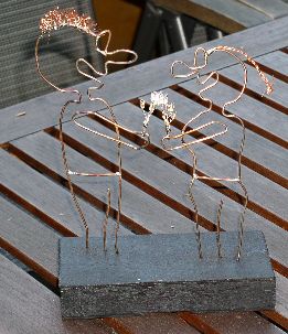 455_P1010197_kl_1.jpg