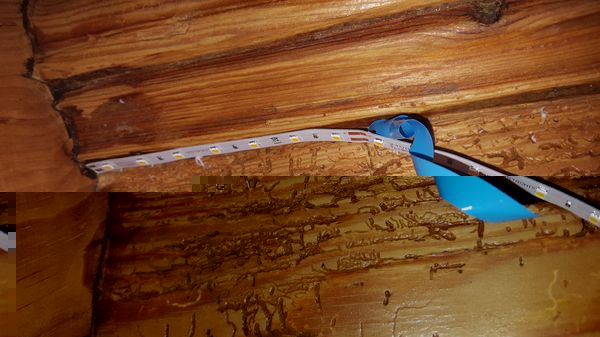 Alte Holztreppe. Hatte Angst, dass die Klebefläche nicht eben genug ist. Wie man sieht hat die Treppe &quot;Struktur&quot;